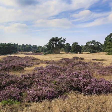 Chalet Op De Veluwe # Berk プッテン エクステリア 写真