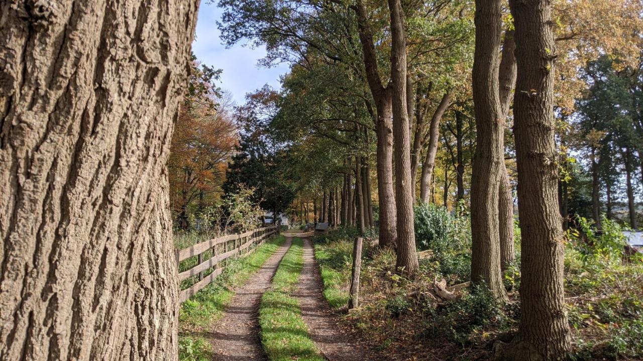 Chalet Op De Veluwe # Berk プッテン エクステリア 写真