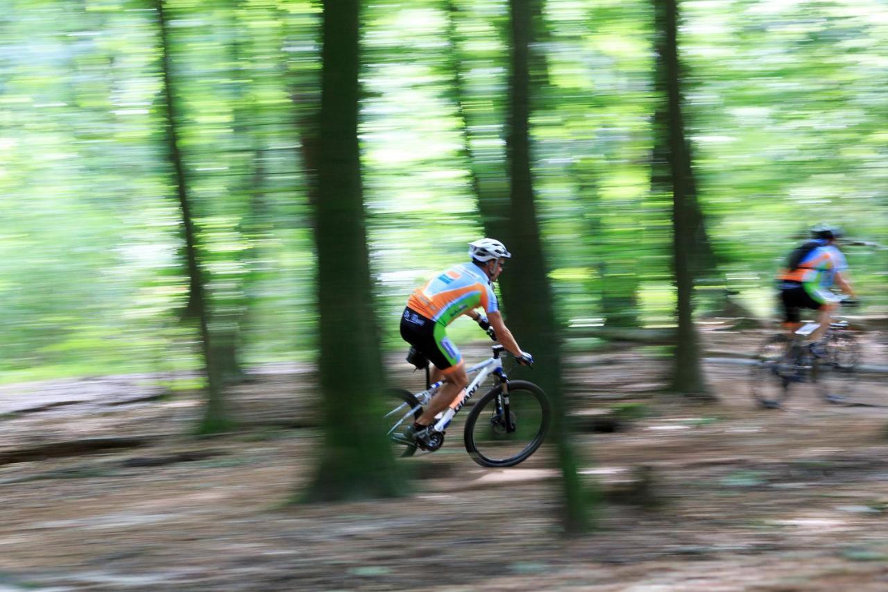 Chalet Op De Veluwe # Berk プッテン エクステリア 写真