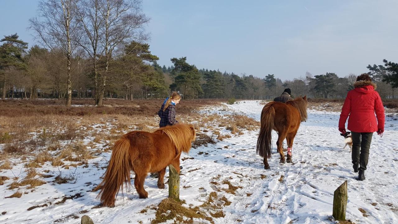 Chalet Op De Veluwe # Berk プッテン エクステリア 写真