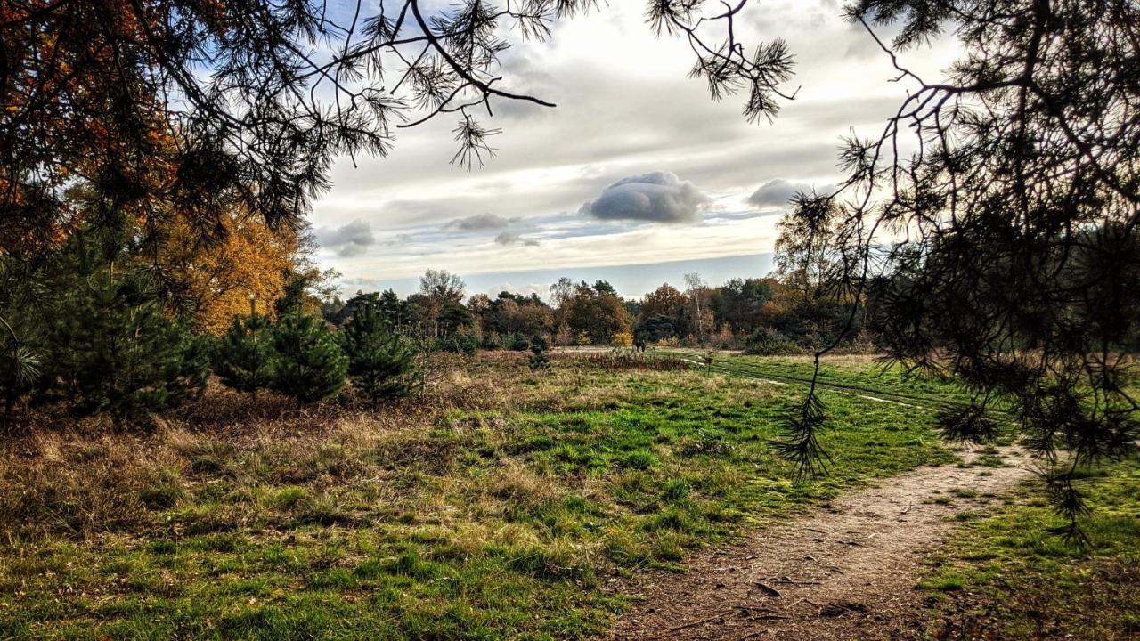 Chalet Op De Veluwe # Berk プッテン エクステリア 写真