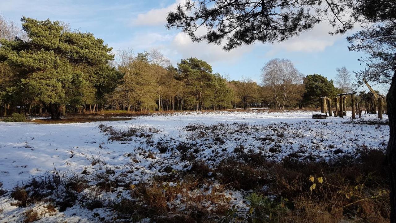 Chalet Op De Veluwe # Berk プッテン エクステリア 写真