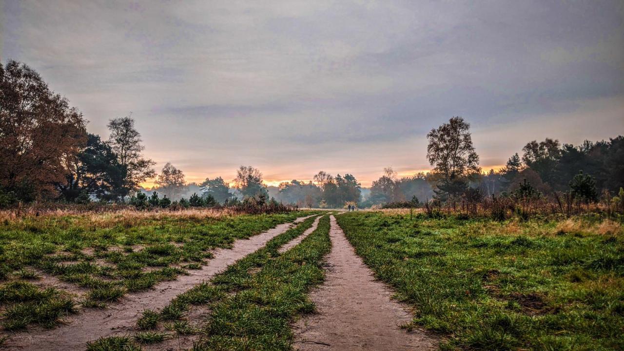 Chalet Op De Veluwe # Berk プッテン エクステリア 写真