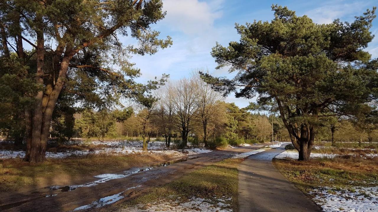 Chalet Op De Veluwe # Berk プッテン エクステリア 写真