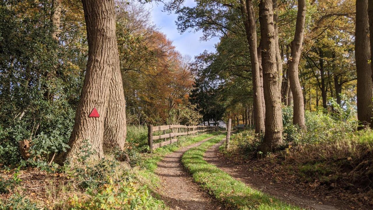 Chalet Op De Veluwe # Berk プッテン エクステリア 写真